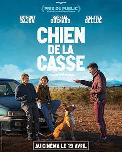 Chien de la casse